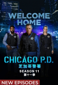 芝加哥警署 第十一季 / 芝加哥警局 Chicago P.D. Season 11 (2024)