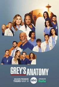 實習醫生格蕾 / 实习医生格蕾 第二十季 Grey’s Anatomy Season 20 (2024)
